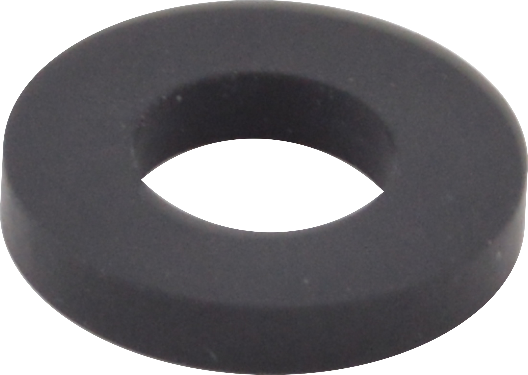 Pentair Pool Products Těsnění vstřiku - vstup hadičky do potrubí chlorátoru Rainbow Pentair 300